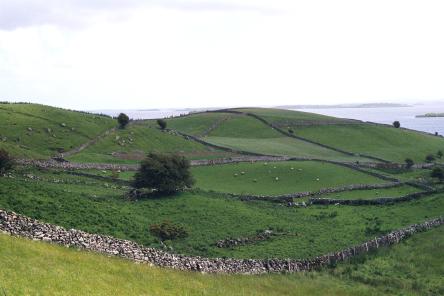 Drumlins with a glimpse of Lough Corrib