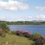 Connemara Lake with Rhododendron